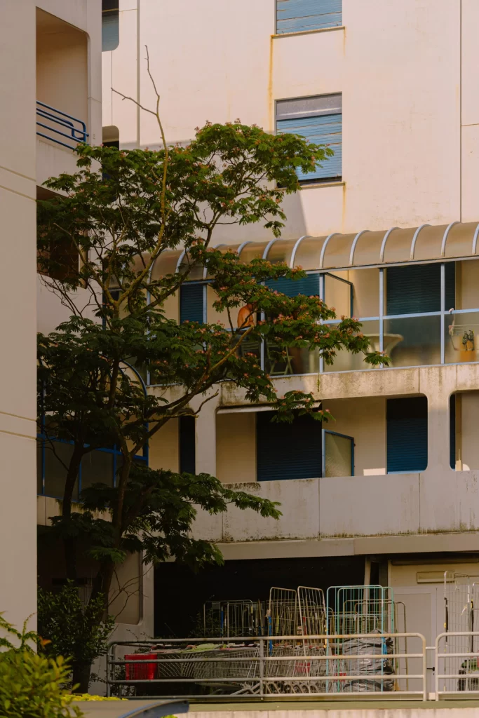 White Building with Trees Exterior Architecture