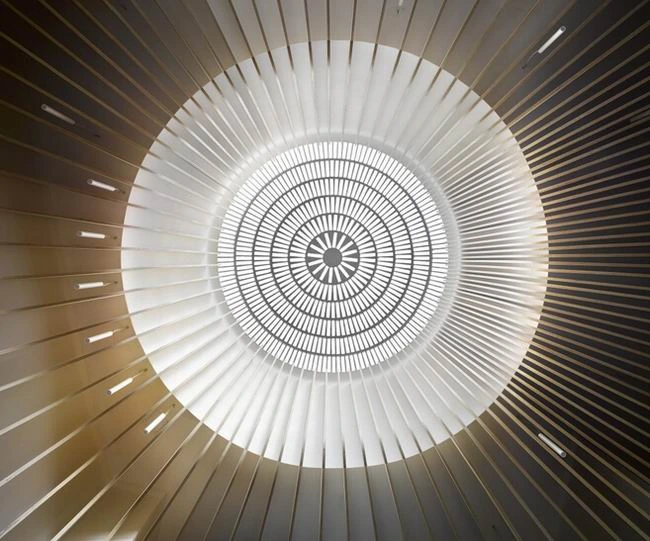 White Circle Geometric Background