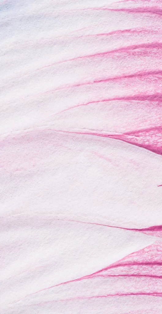 White Cool Texture Background