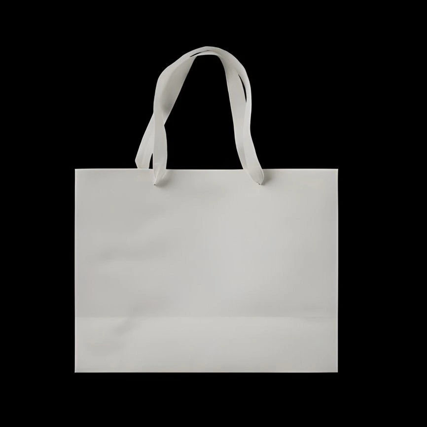 White Paper Bag Black Background