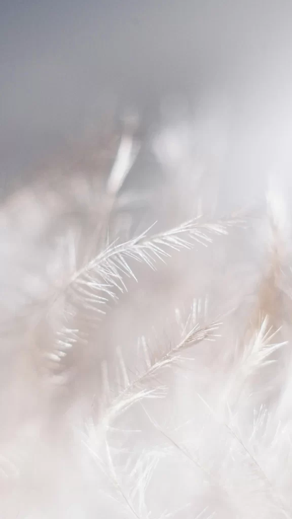 White Layered Texture Background