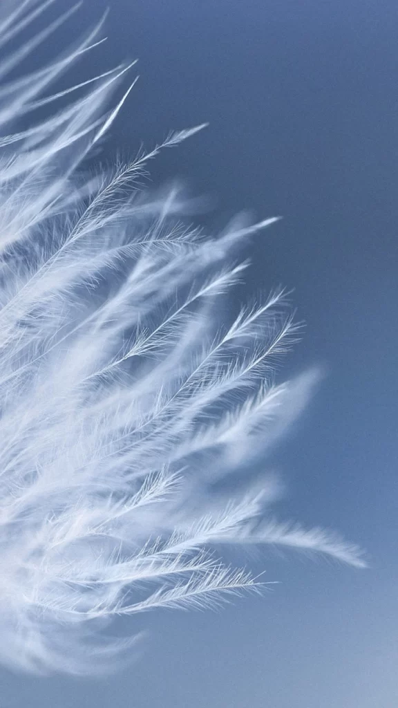 White Light Nature Background
