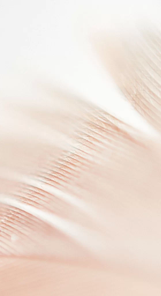 White Texture Glow Gradient Background