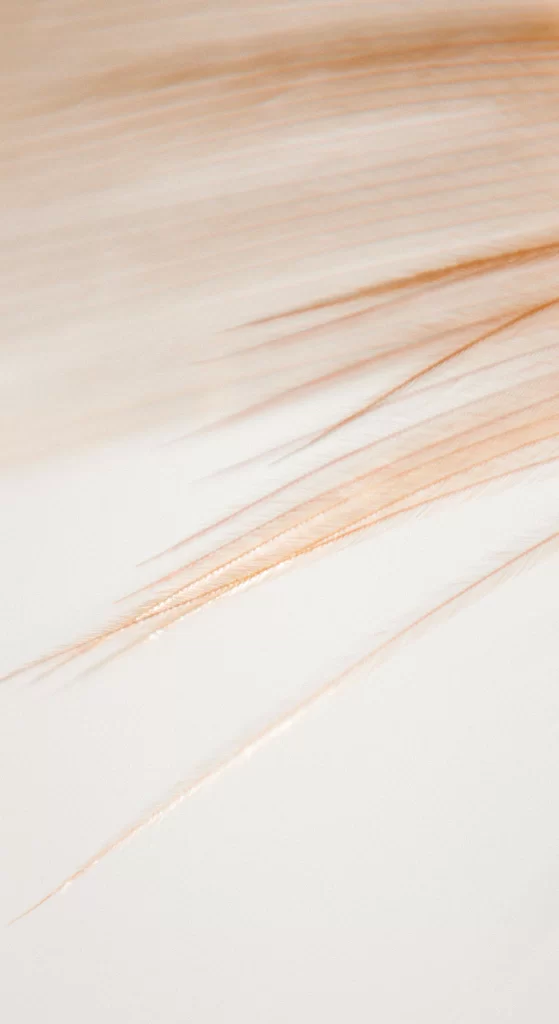 White Texture Soft Gradient Background