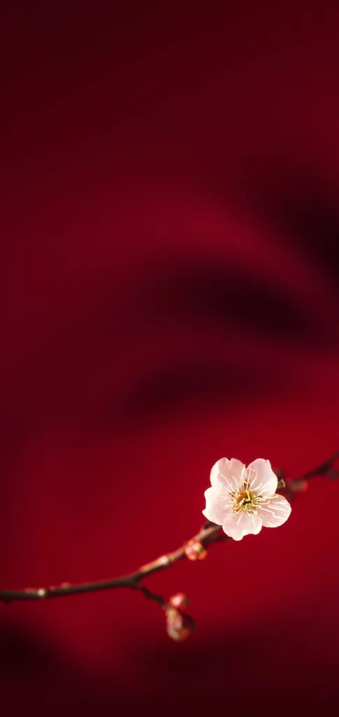 White Vivid Nature Background