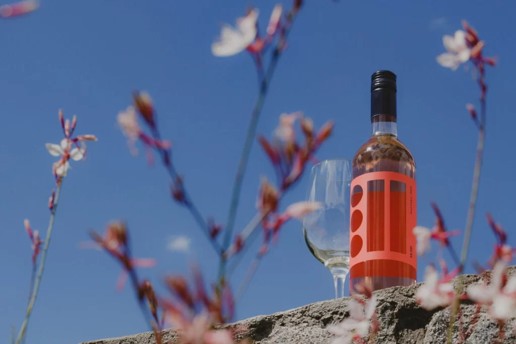 Wine And Glass Bottle