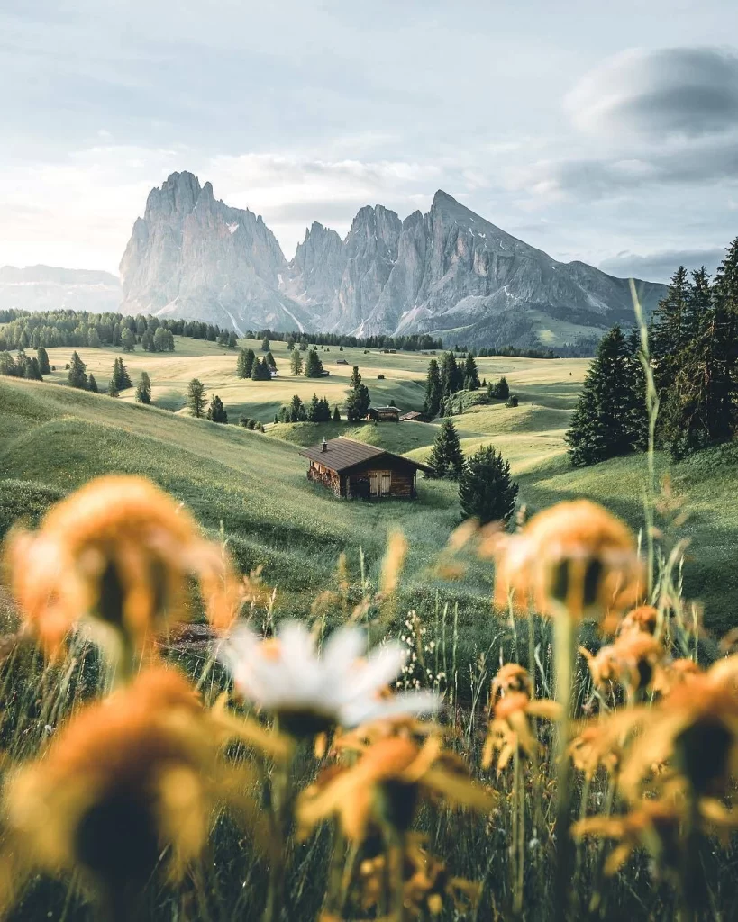 Green Mountain Background