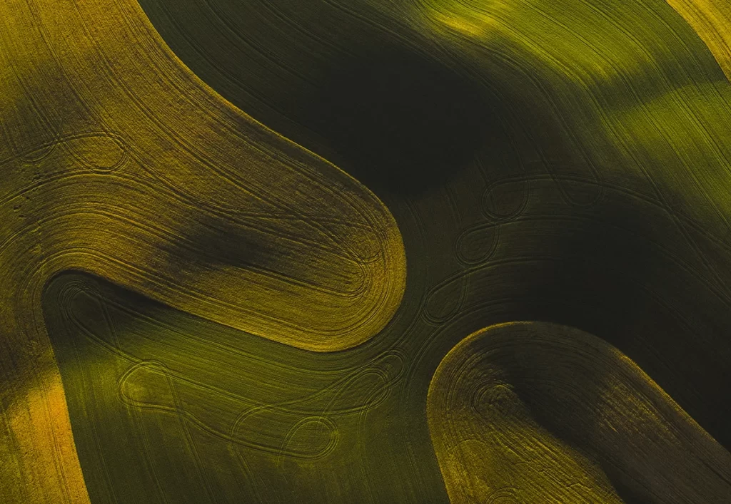Gold Curve Abstract Background