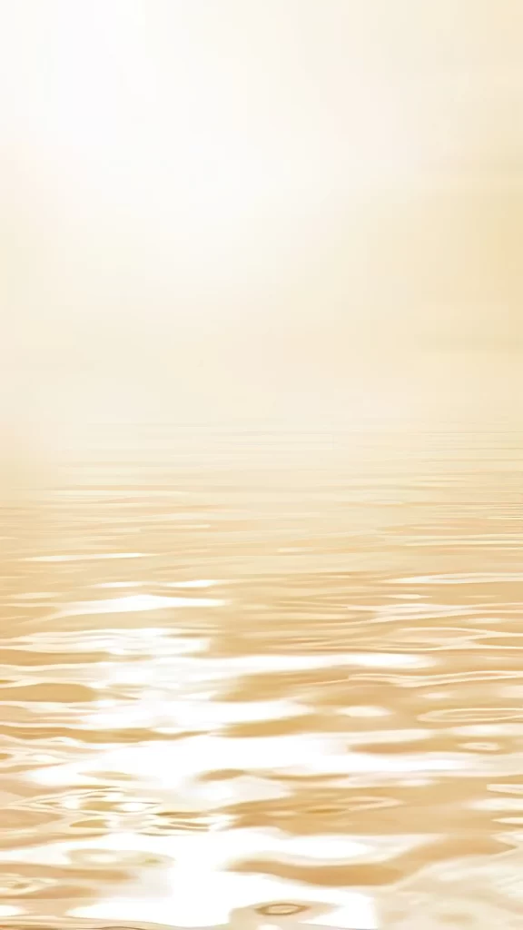 White Gradient Wave Abstract Background