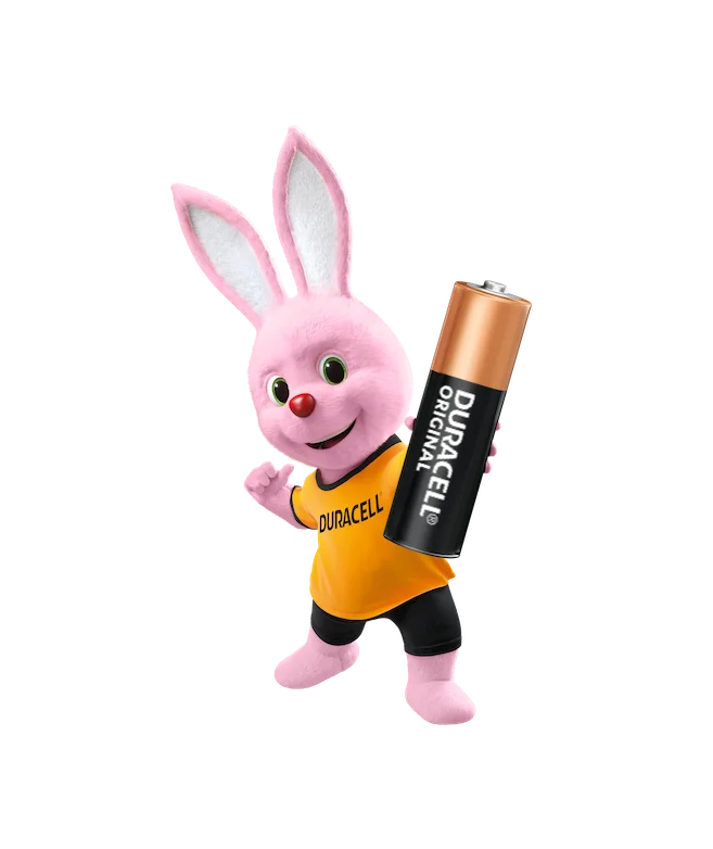 Duracell Original AA Battery Packaging