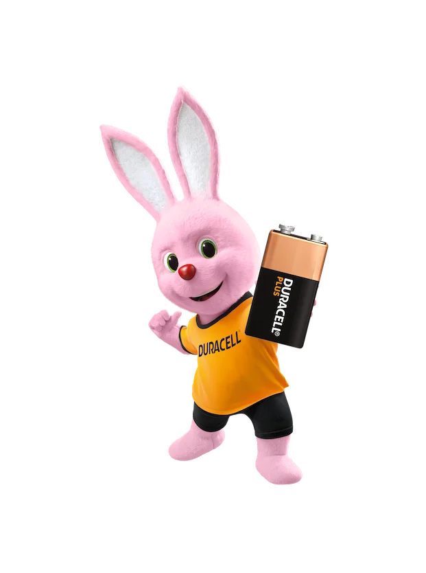 Duracell Plus Power AA Battery Packaging
