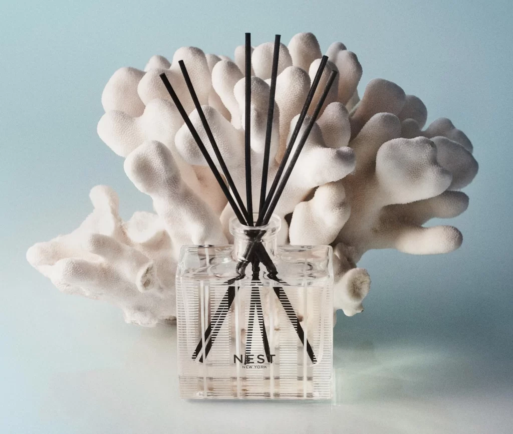 Nest New York Ocean Mist Sea Salt Liquid Diffuser Packaging