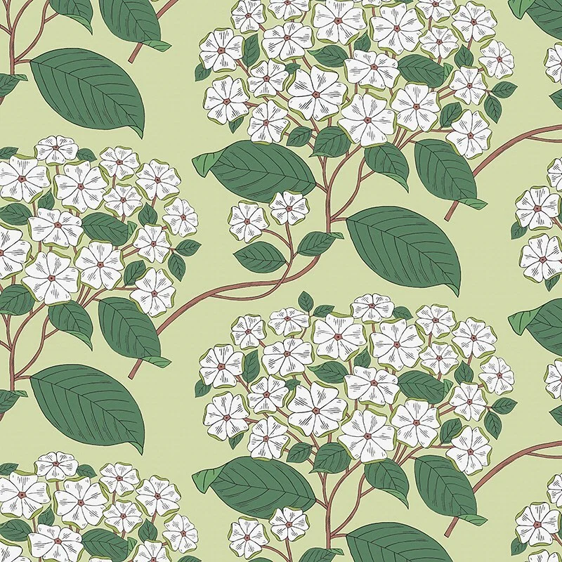 Nancy Wolff Green background with white flowers and green leaves on brown stems
