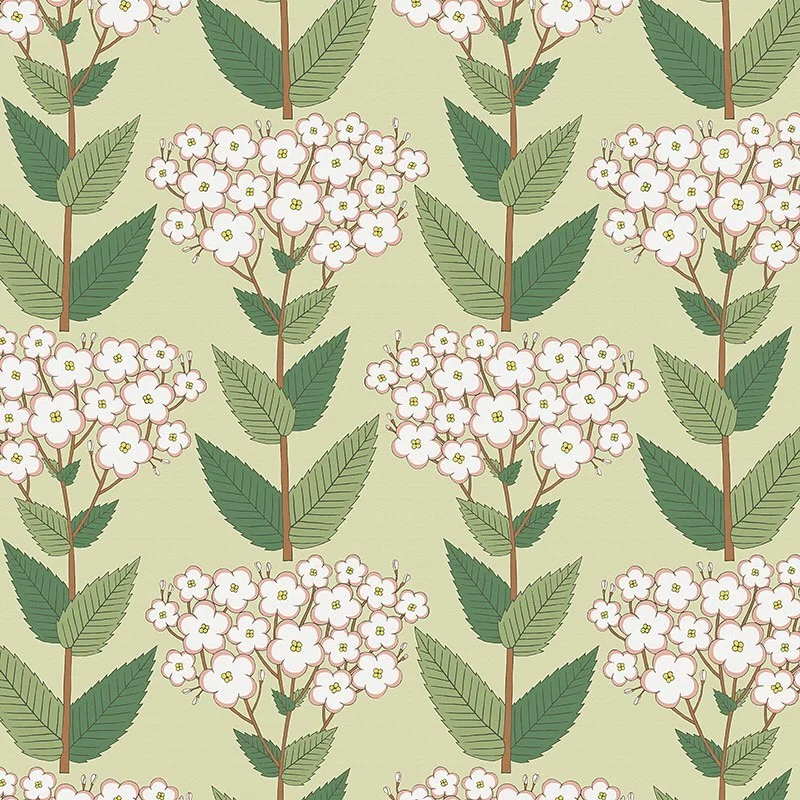 Nancy Wolff Green leaves and white flowers on brown stems against a pale gree