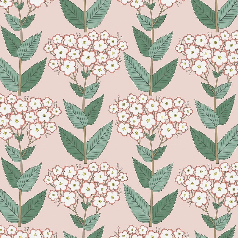 Nancy Wolff Green leaves and white flowers on pink background