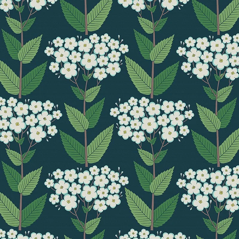 Nancy Wolff White flowers and green leaves on dark teal background