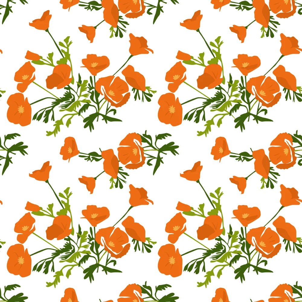 Orange Poppy Floral Pattern