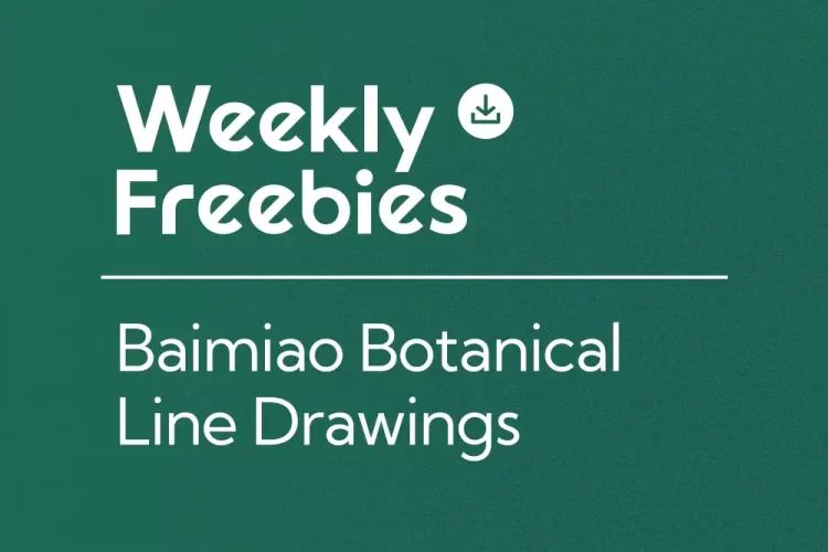 Free Baimiao Botanical Line Drawings: 90 Chinese Ink Artworks for Study and Inspiration