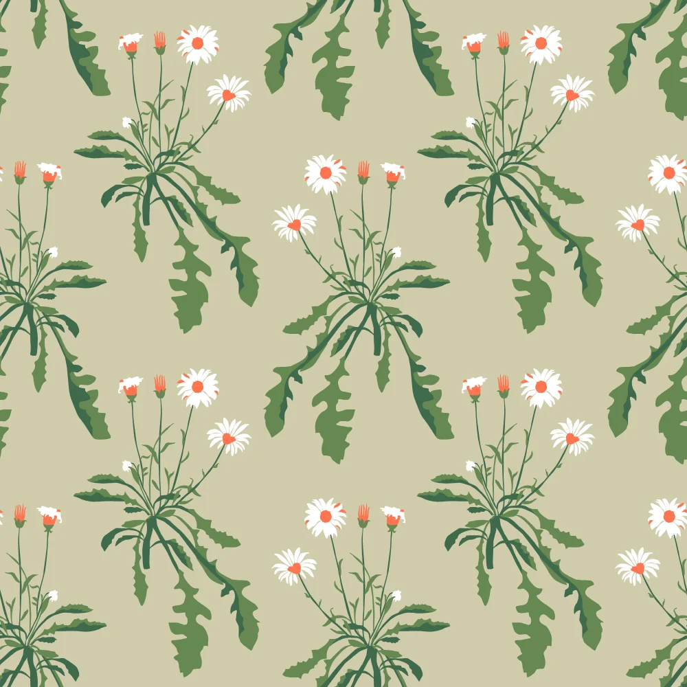 White Daisy Botanical Pattern