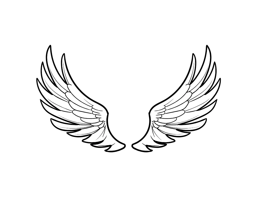 Angel Wings Pair Line Art Vector