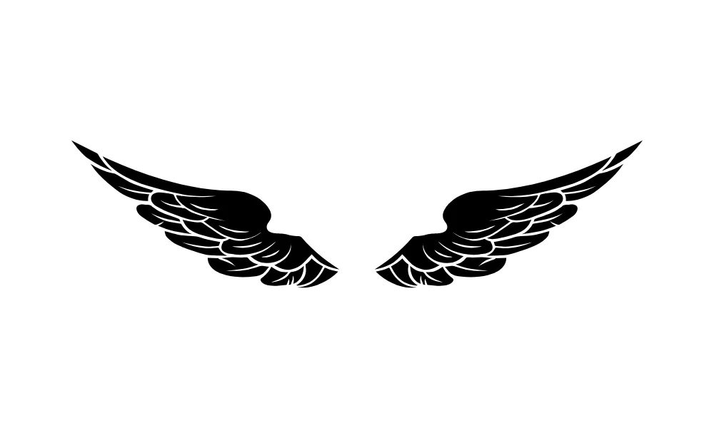 Angular Layered Feather Wings Vector