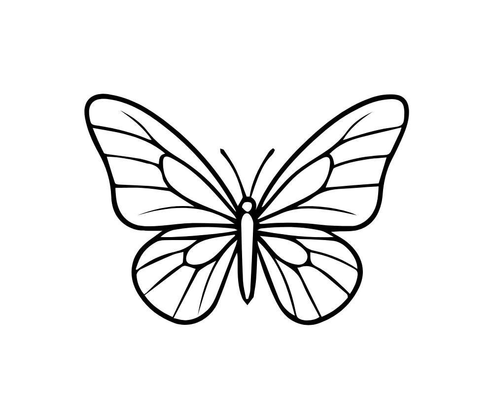 Butterfly Wings Line Art Vector
