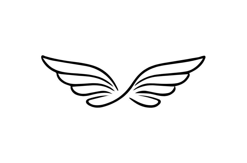 Curved Symmetrical Wings Line Art Vector