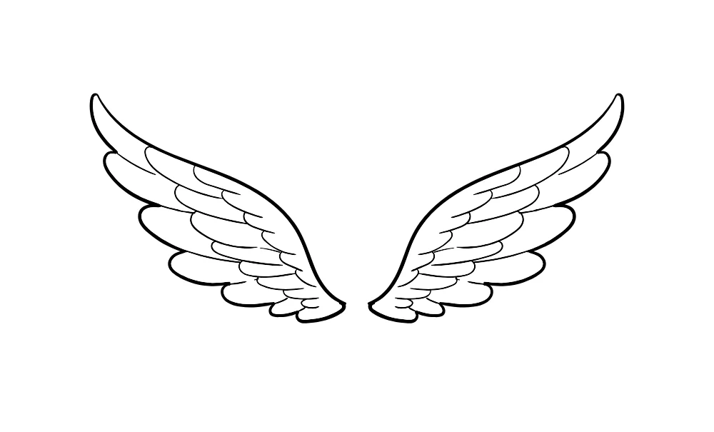 Feathery Angel Wings Line Art Vector