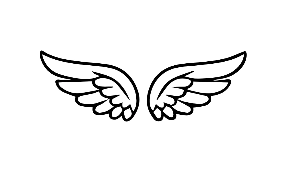 Feathered Wings Line Art Vector
