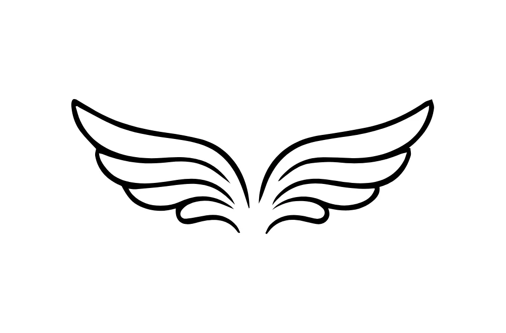 Flowing Curved Wings Line Art Vector