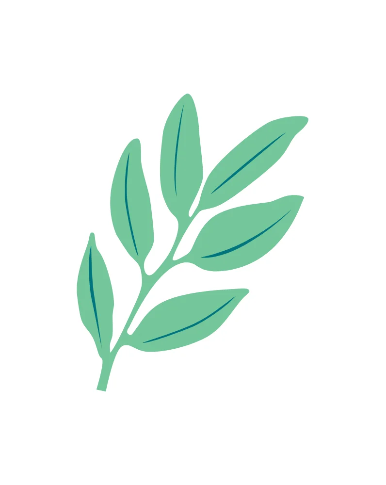 Green Leaf Branch Flat Illustration Vector
