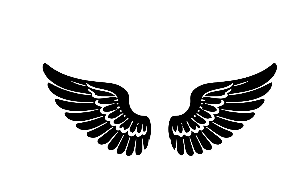 Layered Black Feather Wings Vector