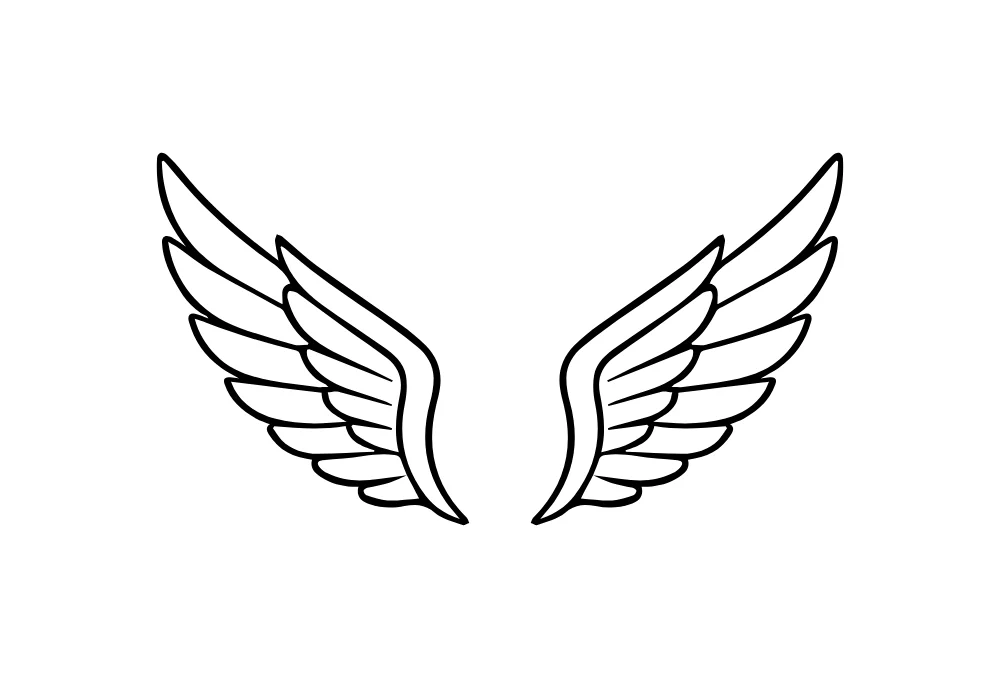 Layered Feather Wings Line Art Vector