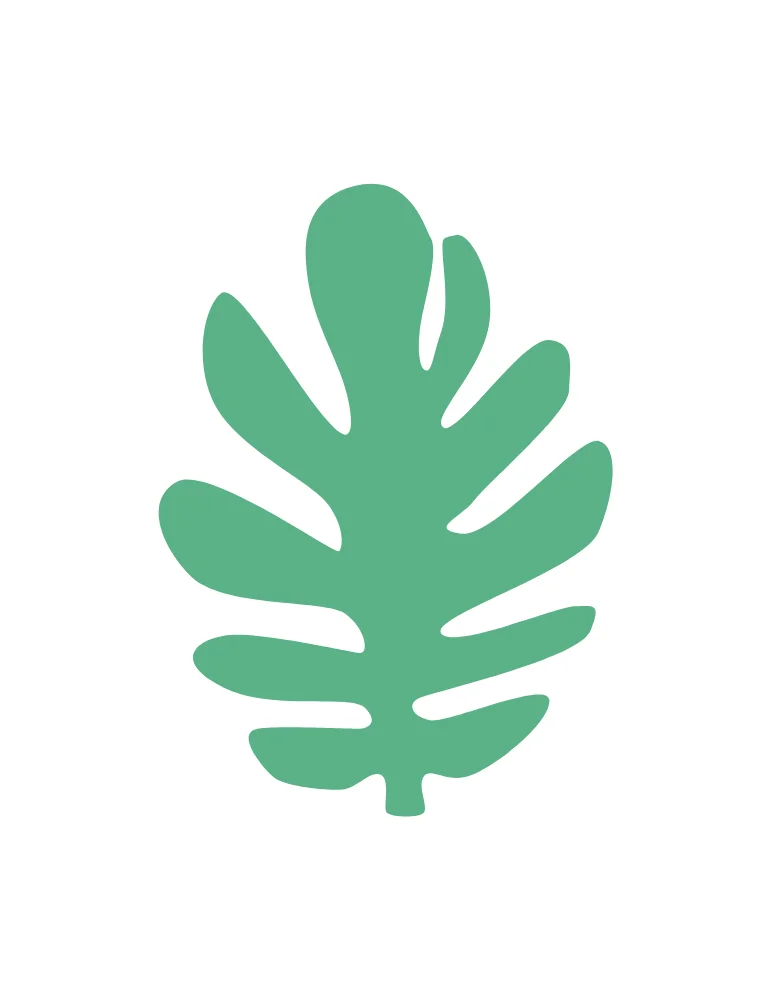 Monstera Leaf Flat Illustration Vector
