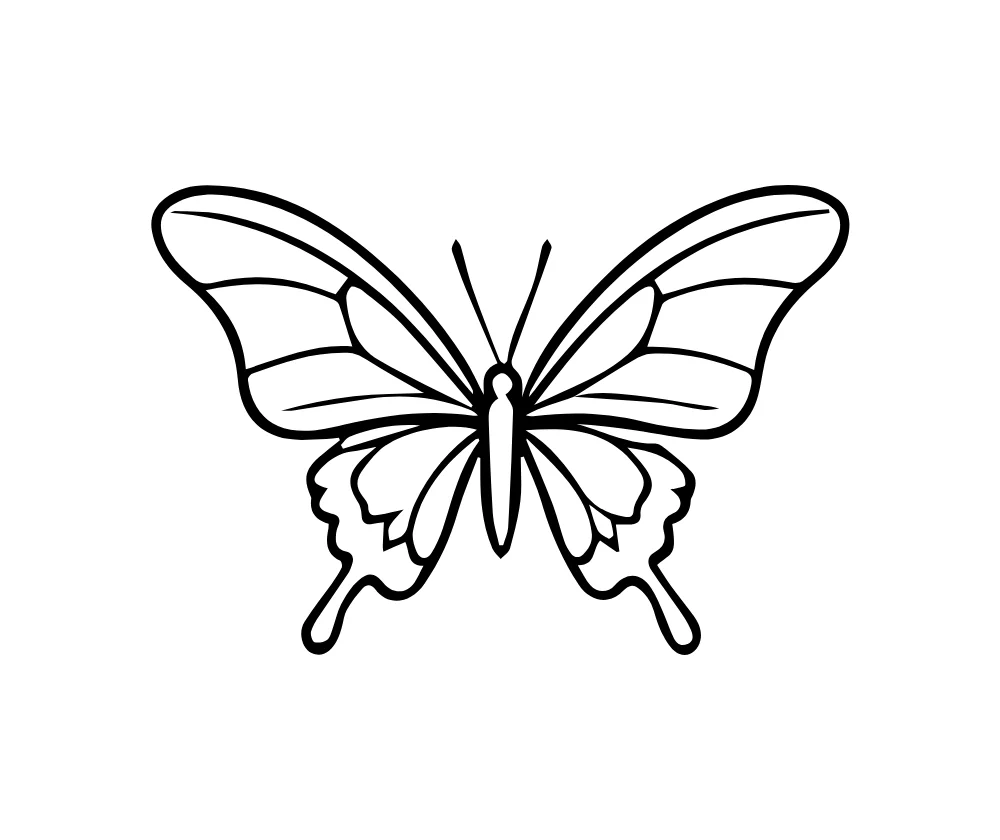 Ornate Butterfly Line Art Vector