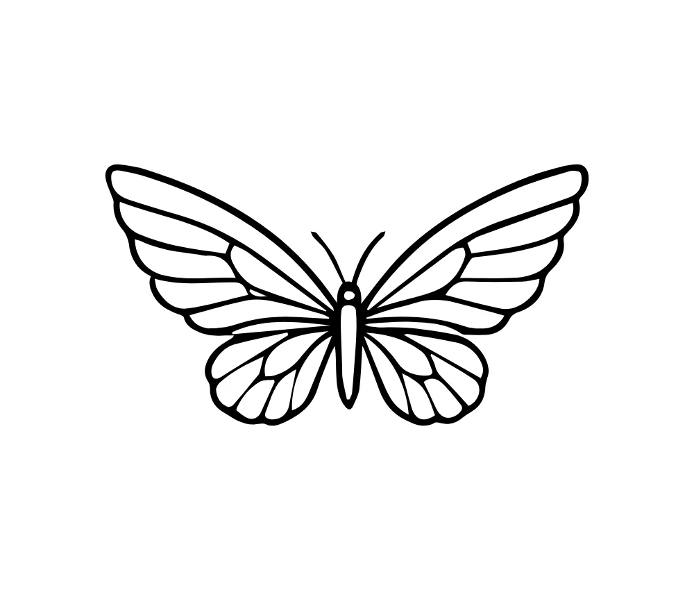 Butterfly Wing Pattern Line Art Vector