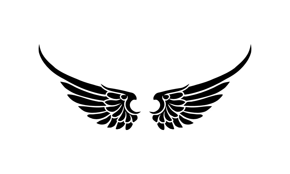Pointed Curved Feather Wings Vector