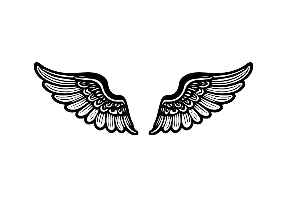 Realistic Feather Wings Illustration Vector