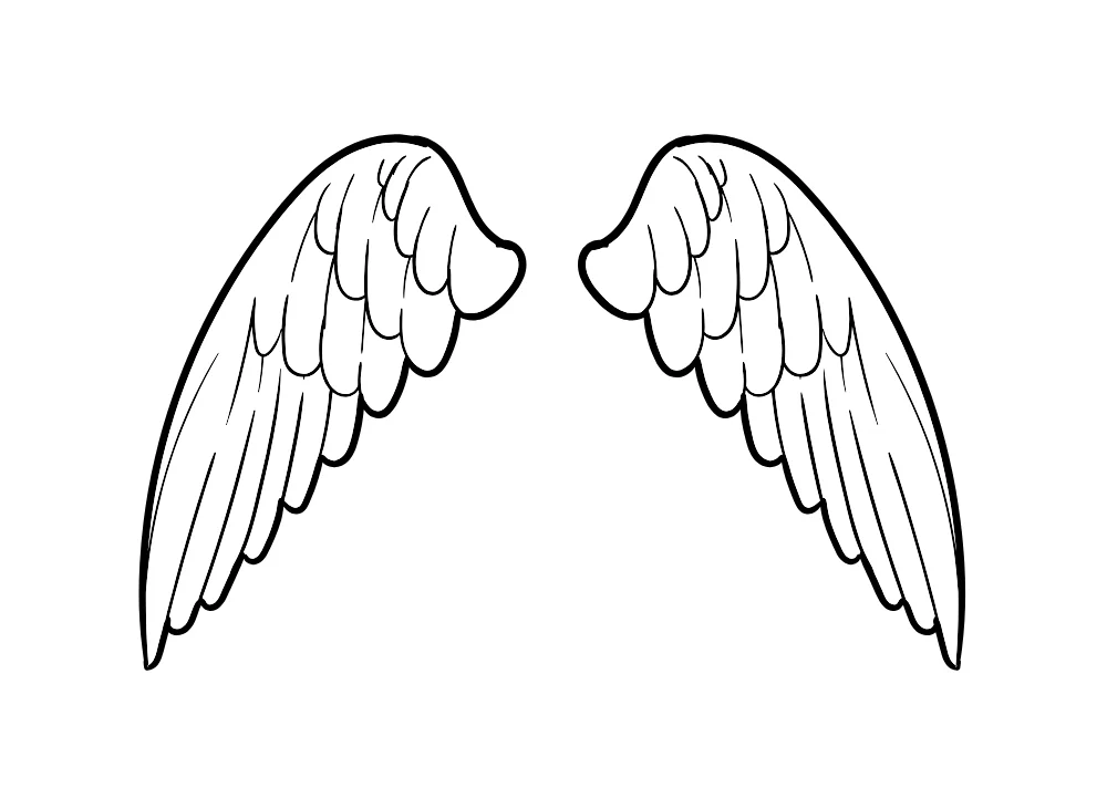 Rounded Top Angel Wings Line Art Vector