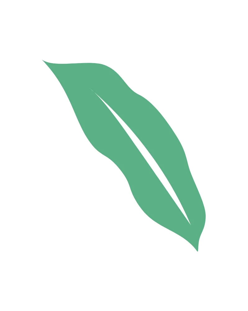 Single Green Leaf Flat Illustration Vector