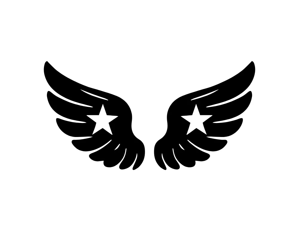 Star Centered Feather Wings Vector