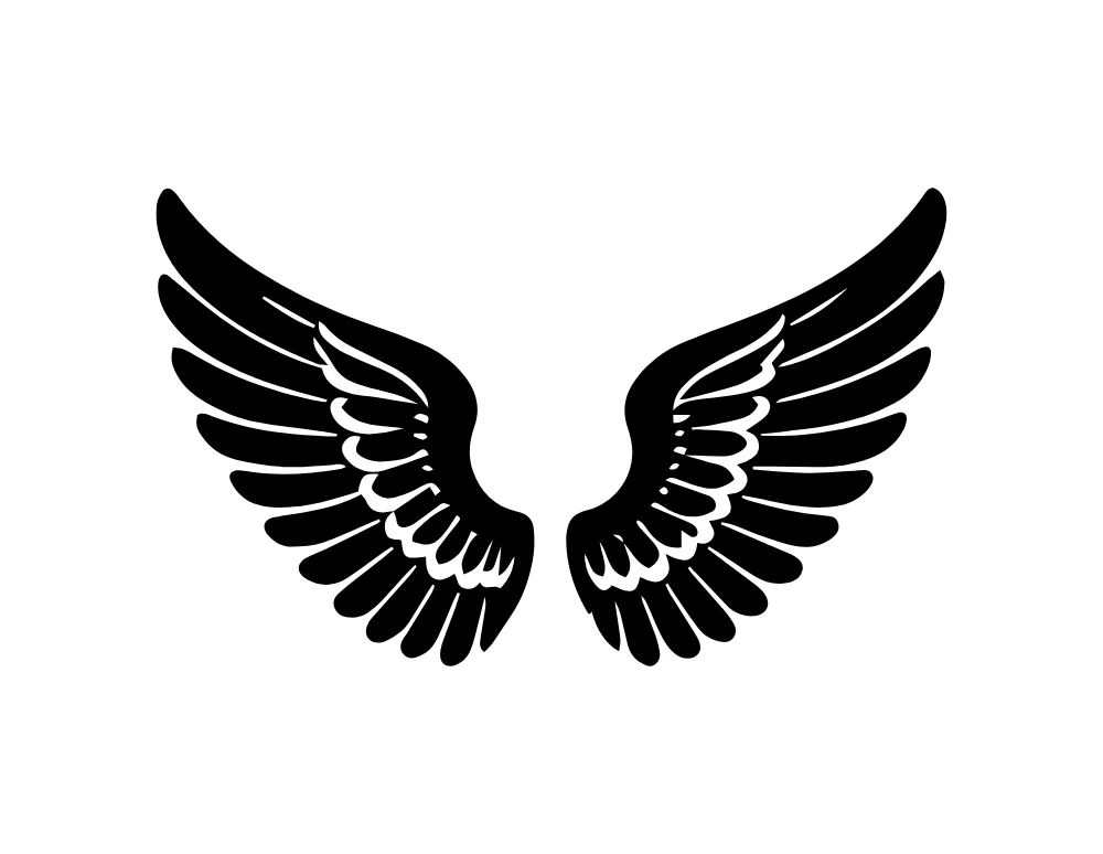 Wide Spread Pointed Black Wings Vector